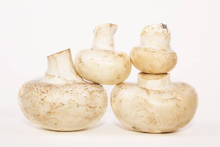 Champignons are laid out in a pyramid. 4 fresh mushrooms. Whole mushrooms, close view. Fresh mushrooms isolated. Ingredients for food. Idea for a blog, cookbook. Stock photo, side view.の写真素材