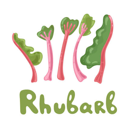 Rhubarb vector set isolatedのイラスト素材