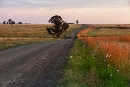 Free State gravel roadの写真素材