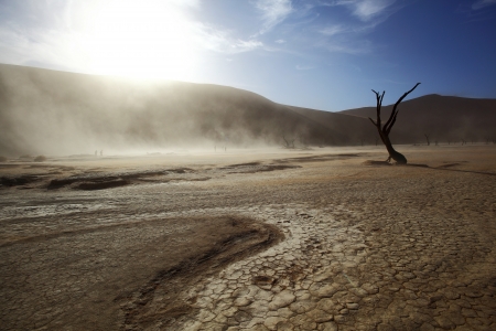 Dust storm in Dooievleiの写真素材