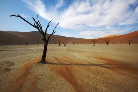 Sweeping Sandの写真素材