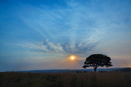 The full moon riseの写真素材