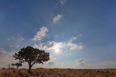 Late afternoon sunの写真素材