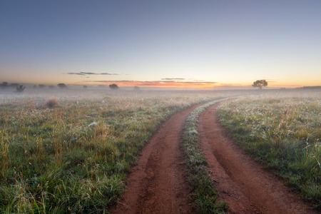 Early morning fogの写真素材