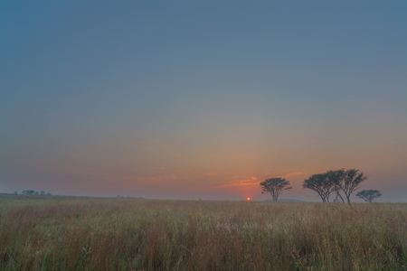 Misty sunriseの写真素材