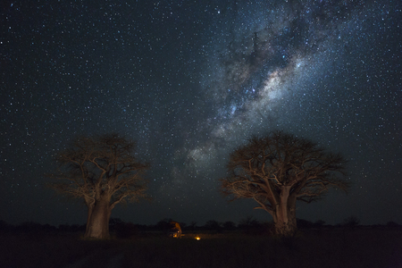 Baines Campsite 2 under the milkywayの写真素材