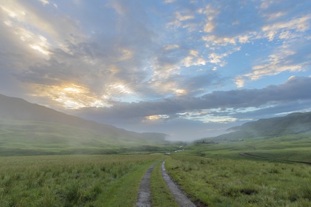 Mist in green valley in the morning