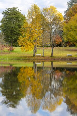 Reflection of autumn colored trees in the pondの写真素材