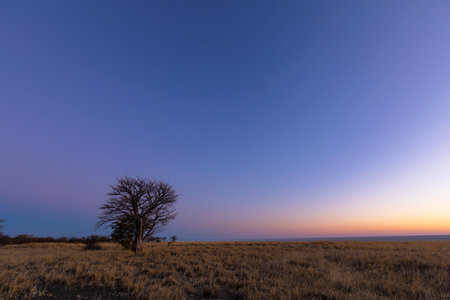 Blue and pink sky after sunset at Kukonje Island Botswanaの写真素材
