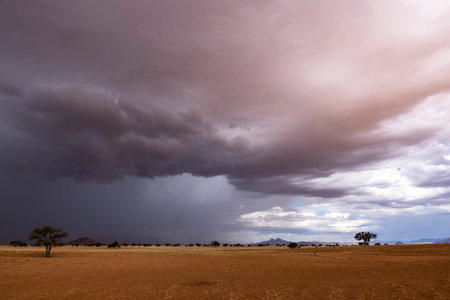 Dark blue clouds pour out rain on the dry desert Namibrand Namibiaの写真素材