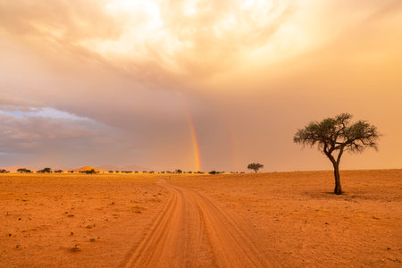 Rainbow after the rain in Namib Desert Namibiaの写真素材