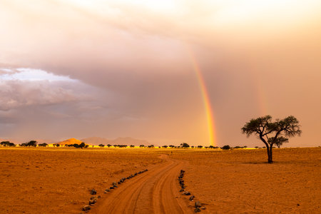 Short rainbow at the end of the day NamibRand Namibiaの写真素材