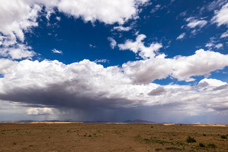Rain from white cumulus clouds in the desert Namib Desert Namibiaの写真素材
