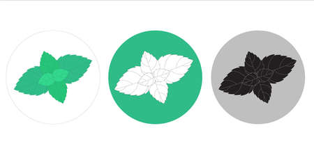 Mint leaf on an isolated background. Vector sign for labels and packaging.のイラスト素材