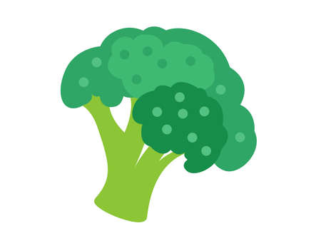 colorful broccoli for magazine, farmers market, vegetarian salad recipe design, web. 
Vegetable on an isolated background. Icon Vector flat illustrationのイラスト素材