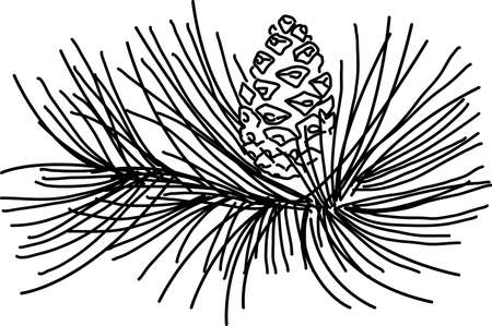 Pine leaf in the doodle style. Hand-drawn silhouette with a fir cone. 
Botanical 
vector illustrationのイラスト素材