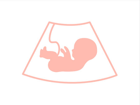 Ultrasound examination procedure. Baby in womb. Pregnancy and health of child. 

Embryo and umbilical cord on screen.  Medical symbol for pregnancy center. 
Vector illustrationのイラスト素材