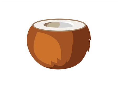 Half a Coconut. Coconut in cut form. Vector flat illustration isolated on white 
background.のイラスト素材