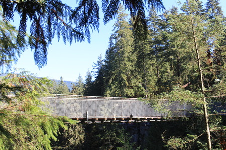 Capilano Suspension Bridgeのeditorial素材