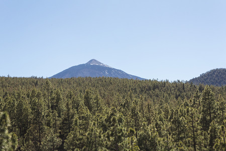 Mountain, forest - Pico del Teide, Tenerife, Spain Landmarkの写真素材