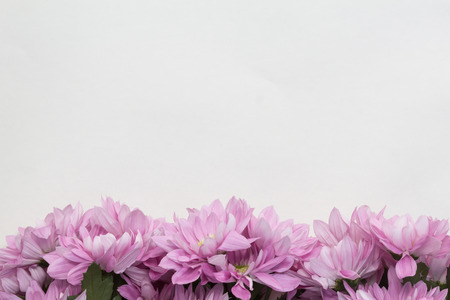 flower frame on white backgroundの写真素材