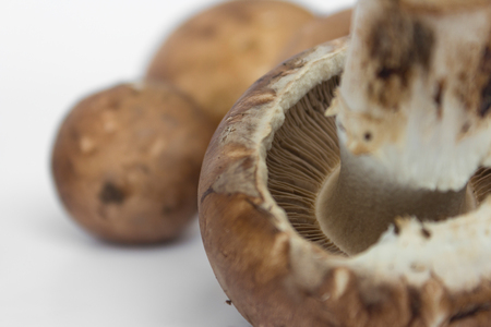 group of champignons - fresh mushrooms, unpeeled, unwashed on white backgroundの写真素材