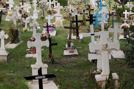 crosses at cemetery / graveyard