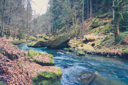 river in forest landscape during autumn, vintage filteredの写真素材