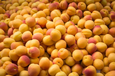 pile small yellow peaches - fruit market background