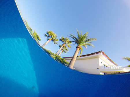 swimming pool palm trees and blue sky