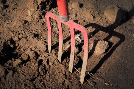 gardening fork in the ground -  pitchfork in sandの写真素材