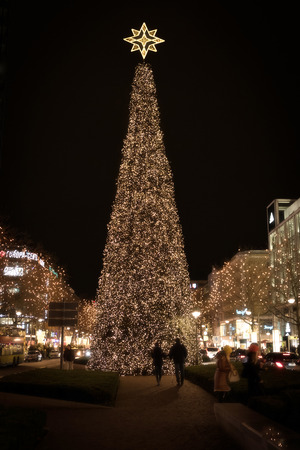Big Christmas tree, illuminated at night outdoorsの写真素材