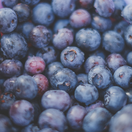 Blueberry background - blueberries closeup