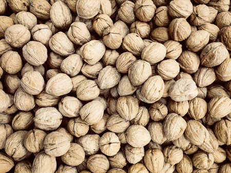 walnuts , pile of nuts, walnuts backgroundの写真素材