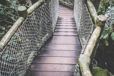 wooden walkway, wooden footpath in forest landscape -の写真素材