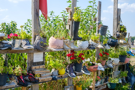 Berlin, Germany - august 2019: Urban Gardening at Tempelhofer Feld (Flughafen Tempelhof) in Berlinのeditorial素材