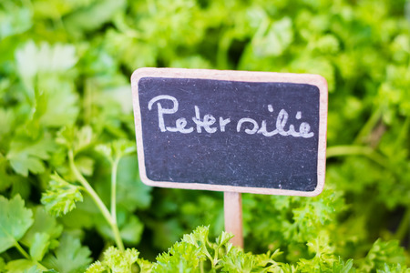 Parsley (german: Petersilie) sign closeup on food marketの写真素材