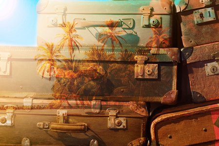 The concept -vintage suitcase and palm tree iceland double exposureの写真素材
