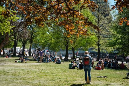 Young people on meadow in park on sunny day, summer day in Berlinのeditorial素材