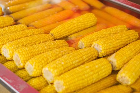 corncobs -  cooked, yellow corn for saleの写真素材