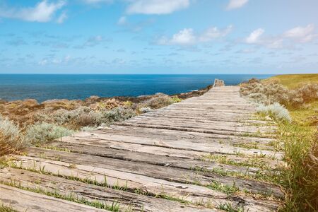 wooden walkway near ocean coastの写真素材