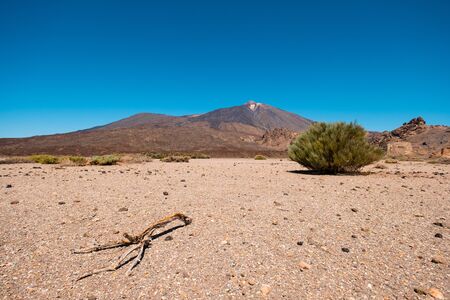 Hot sunny day in dry, volcanic desert landscape on Pico del Teide, Tenerifeの写真素材