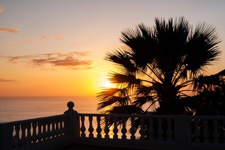 ocean view terrace with sunset sky background and palm tree -の写真素材