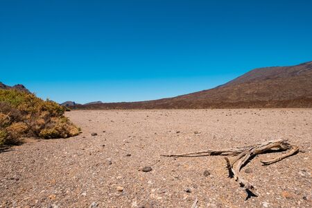 dry stone desert landscape with driep up vegetation on hot sunny dayの写真素材