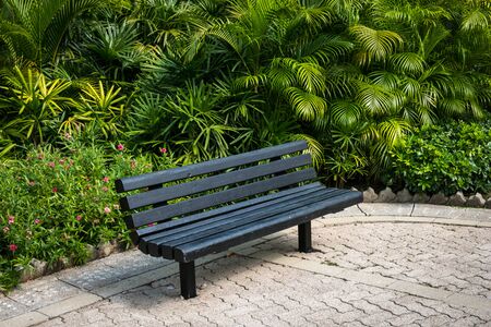 empty bench in park - wooden bench in tropical gardenの写真素材