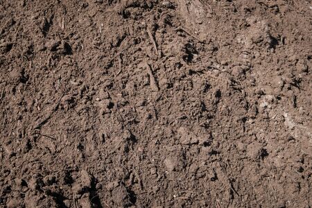 sand closeup for construction material -の写真素材