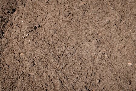 sand closeup for construction material -の写真素材