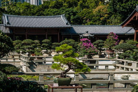 HongKong, China - November, 2019: Bonsai trees in Chinese Garden of the Chi Lin Nunnery, a Buddhist temple in Hong Kongのeditorial素材