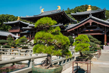 HongKong, China - November, 2019: Bonsai trees in Chinese Garden of the Chi Lin Nunnery, a Buddhist temple in Hong Kongのeditorial素材