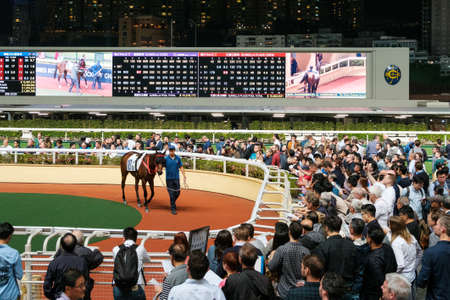 Hong Kong, November, 2019: People looking at race horse in Hong Kong Jockey Club, Happy Valley racing courseのeditorial素材